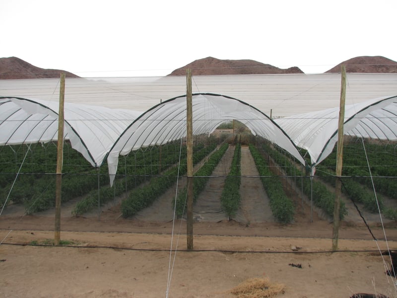 Alnet Agri Shadecloth Projects preview 8